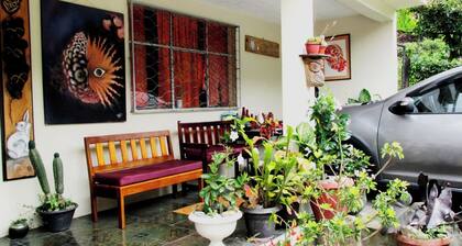 Athene Moon, ubicados en el barrio "San Vicente" diagonal a Refugio Spa