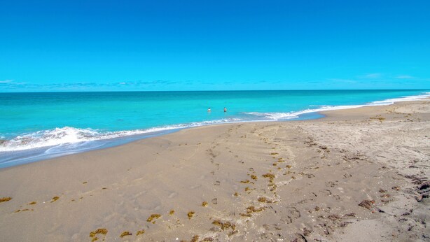 A beach with clear blue water and a sandy shore. - Private Beach Resort Condo, Hutchinson Island, FL (Fort Pierce)