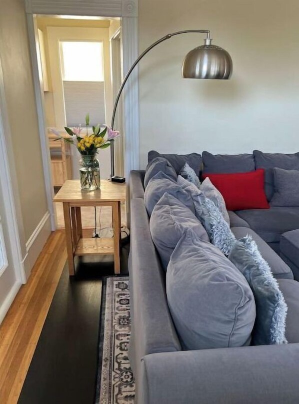 Smart TV, reproductor de DVD, libros, videoteca