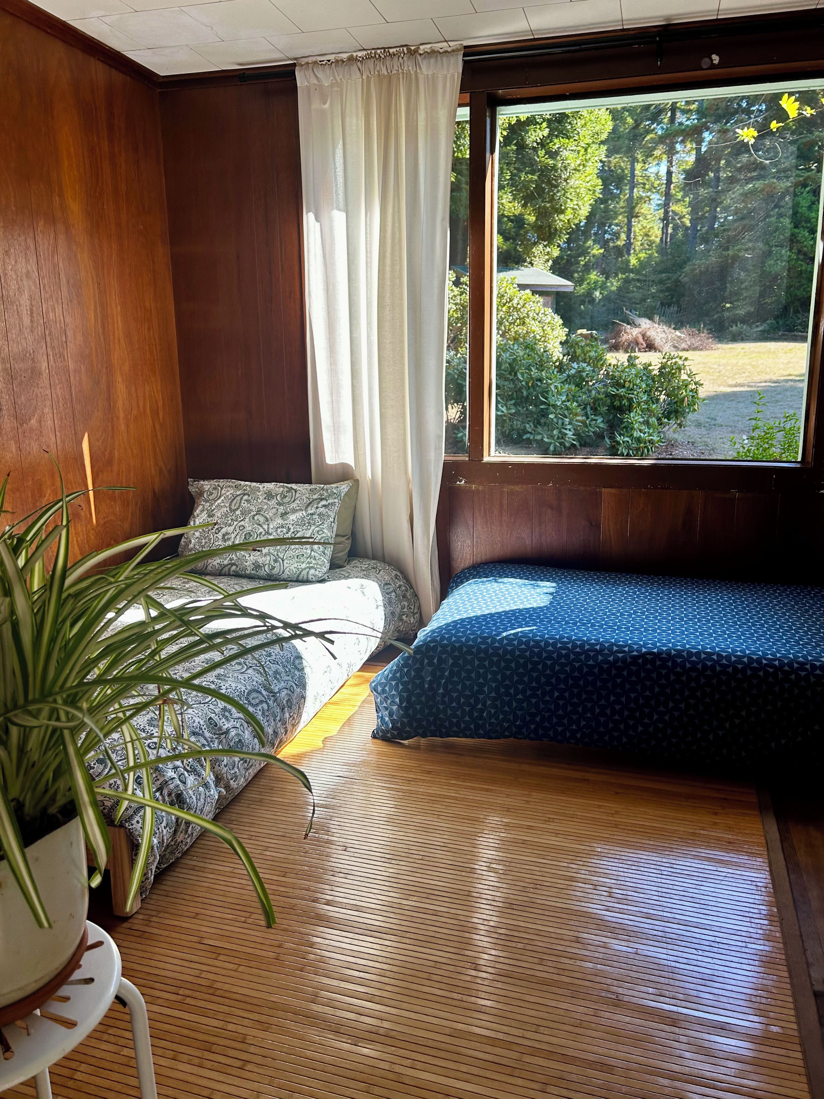Une pièce avec un lit, une fenêtre et une plante en pot.