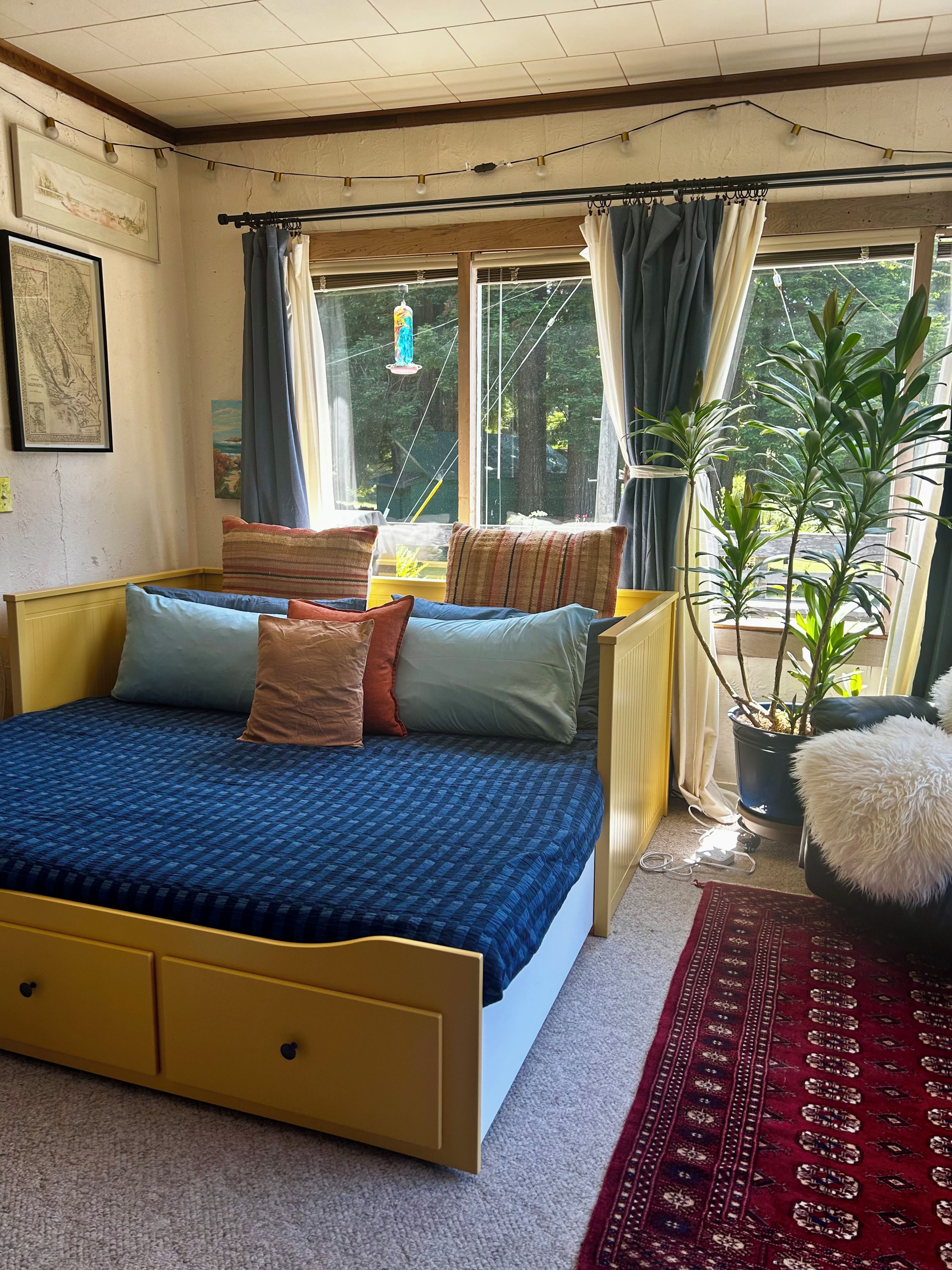 A bedroom with a bed, a window with curtains, a plant, and a rug.