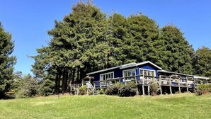 Une maison à deux étages, à l’extérieur bleu, dotée d’une terrasse et entourée de grands arbres.