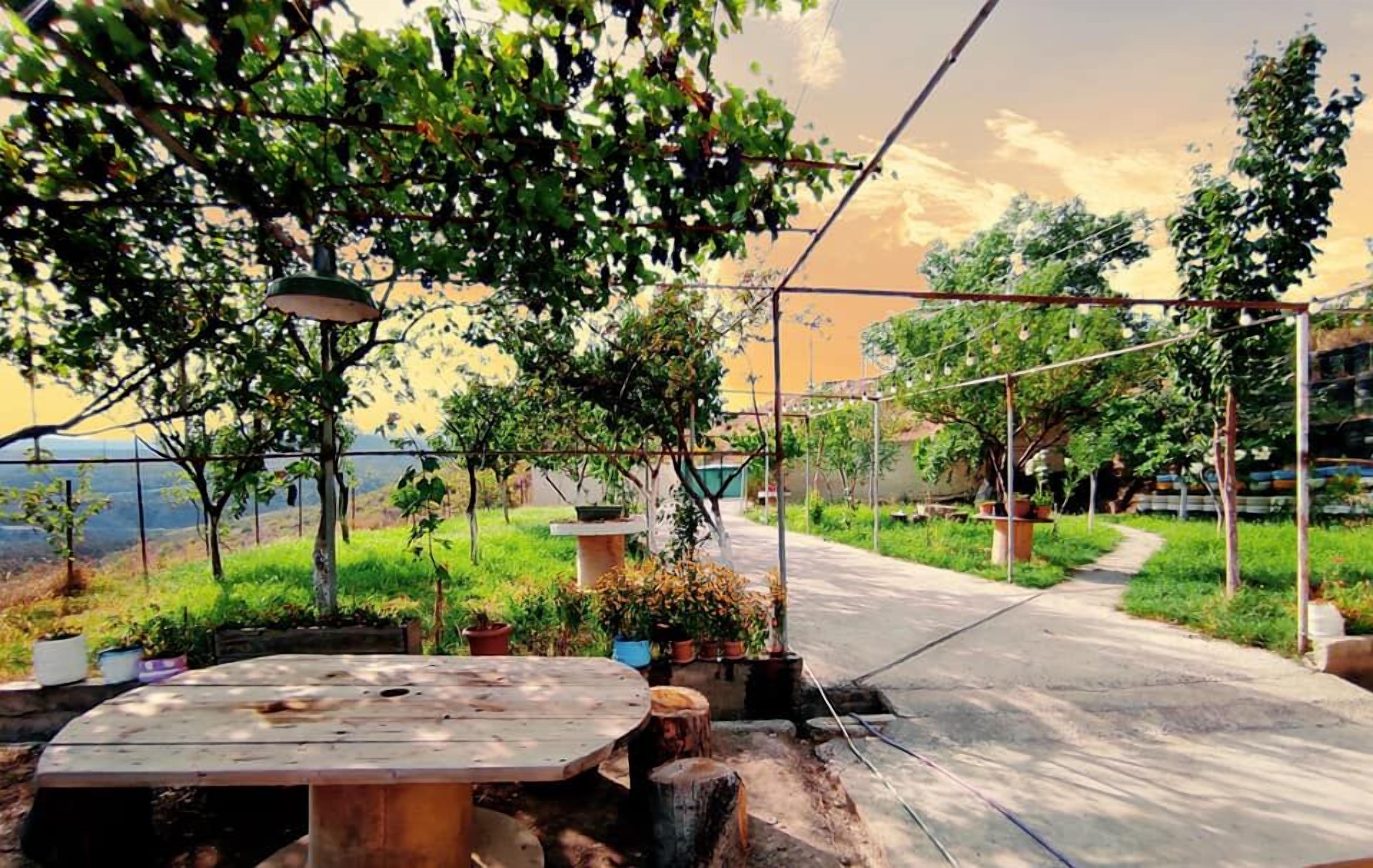 An outdoor seating area with a wooden table and chairs, surrounded by potted plants and trees.
