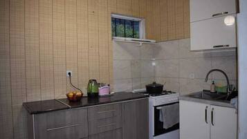 Standard Apartment | Private kitchen | Fridge, oven, cookware/dishes/utensils