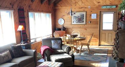 Cozy cabin near Ski Sawmill and Pine Creek