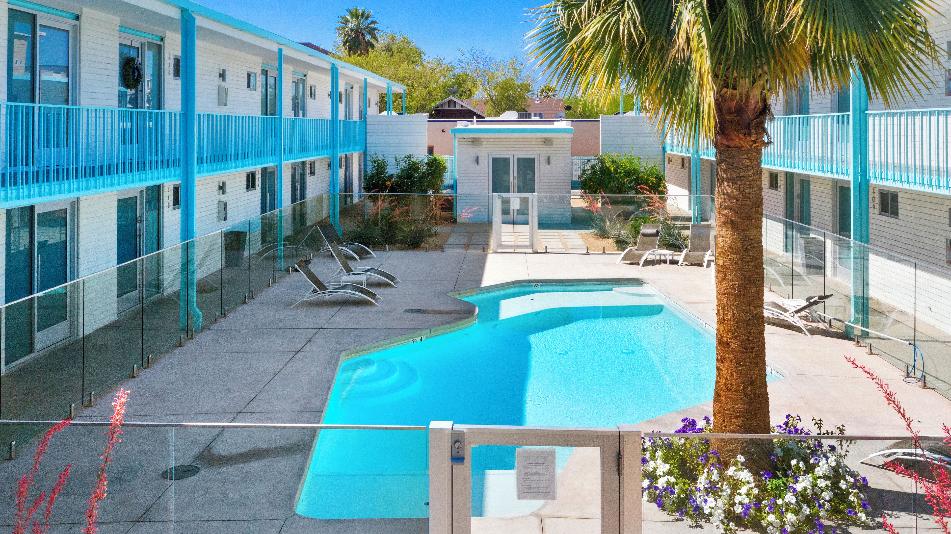A pool area with lounge chairs, a palm tree, and a building with blue railings and a glass fence.