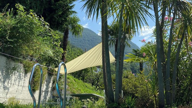 Una piscina con agua azul cristalina, rodeada de abundante vegetación y palmeras.