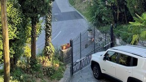 Un camino pavimentado que conduce a una entrada con puerta, rodeada de abundante vegetación y altos árboles.