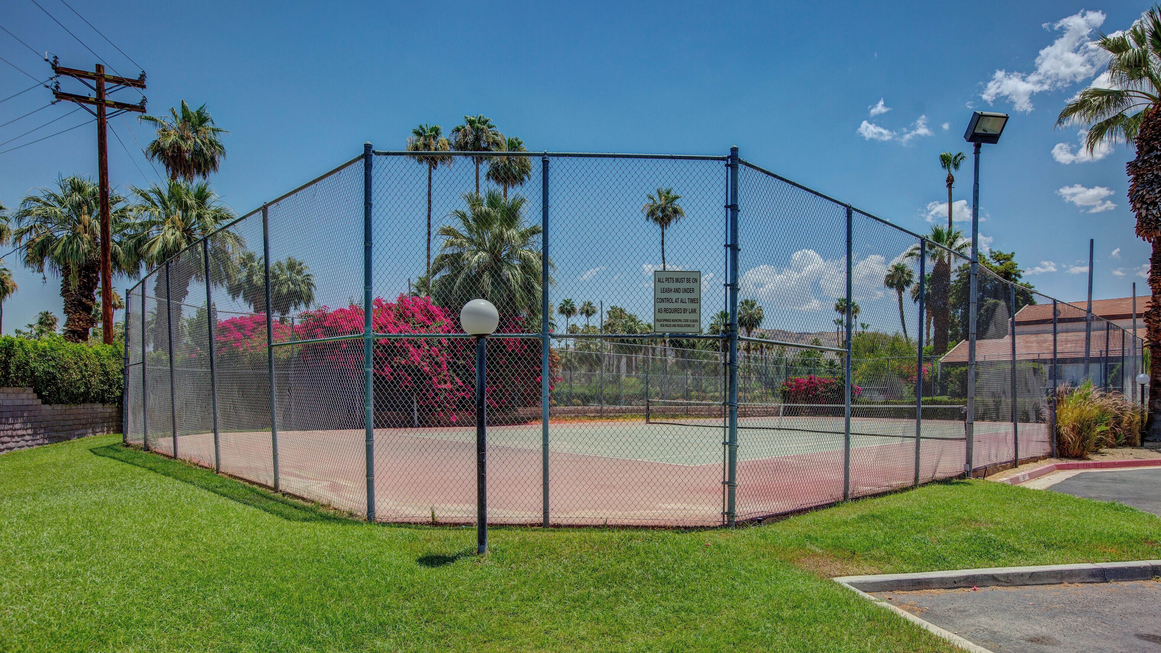 A fenced tennis court with a clear sky, palm trees, and a brick building in the background.
