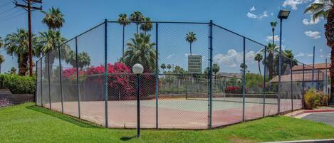 A fenced tennis court with a clear sky, palm trees, and a brick building in the background.