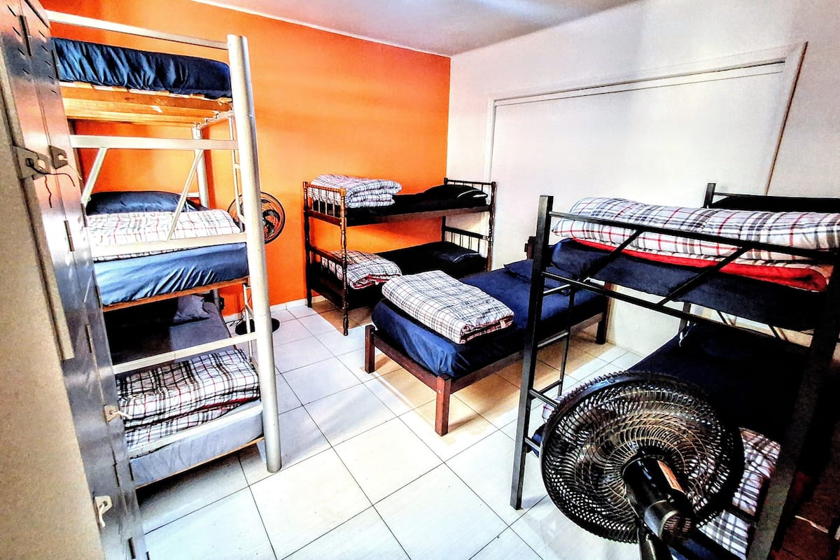 A dormitory room with bunk beds, a standing fan, and a whiteboard on the wall.