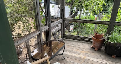 Quiet Cottage on the Lane Close to SF, Parks, Redwoods, Zoo, BART and the Ferry!