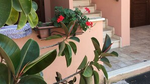 A staircase leading to a door, surrounded by potted plants and a tiled floor. - TORREGRANDE BEACH ORISTANO (Torre Grande)