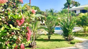 Un jardín bien cuidado con diversas plantas tropicales y un cielo azul despejado.