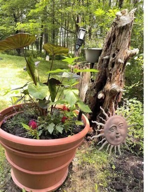 Property grounds - Become at peace in a comfortable country home (New Paltz)