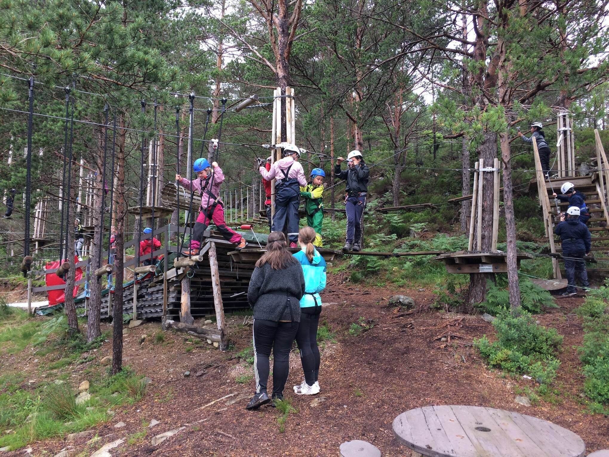 A group of people engaged in an outdoor activity, possibly a ropes course, in a wooded area with wooden structures and safety harnesses.