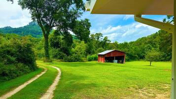 Terrein van de accommodatie