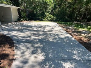 Une allée en béton menant à un garage, entourée d’une végétation luxuriante et d’arbres.