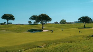 Un campo de golf con árboles y cielo despejado.