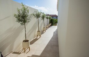 Stroll through a serene corridor lined with potted plants, leading to a charming Mediterranean-style building.
