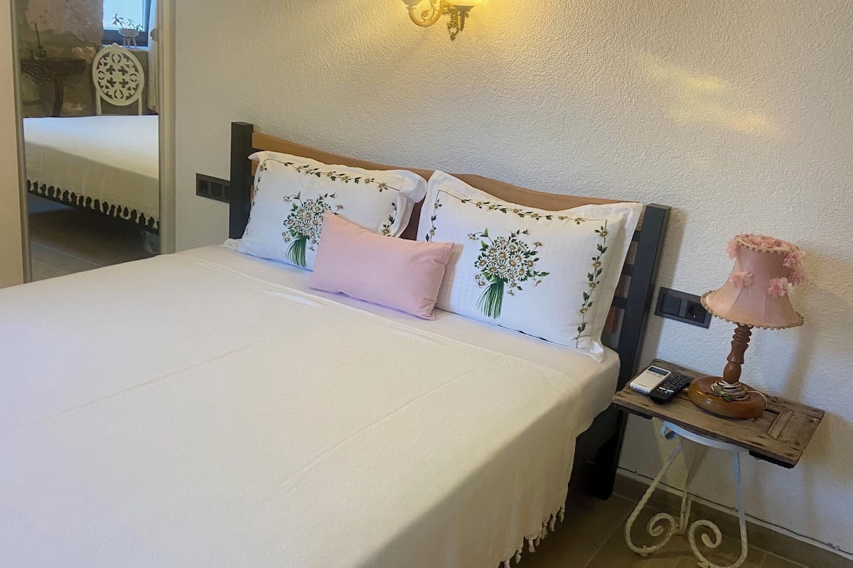 Phòng Tiêu chuẩn, 1 giường cỡ queen, không hút thuốc | Bộ đồ giường cao cấp, nệm Select Comfort