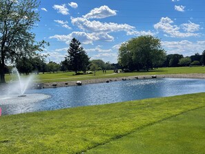 Golf - Cozy Countryside  Getaway (Grovertown)