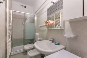 Shower, hair dryer, bidet, towels