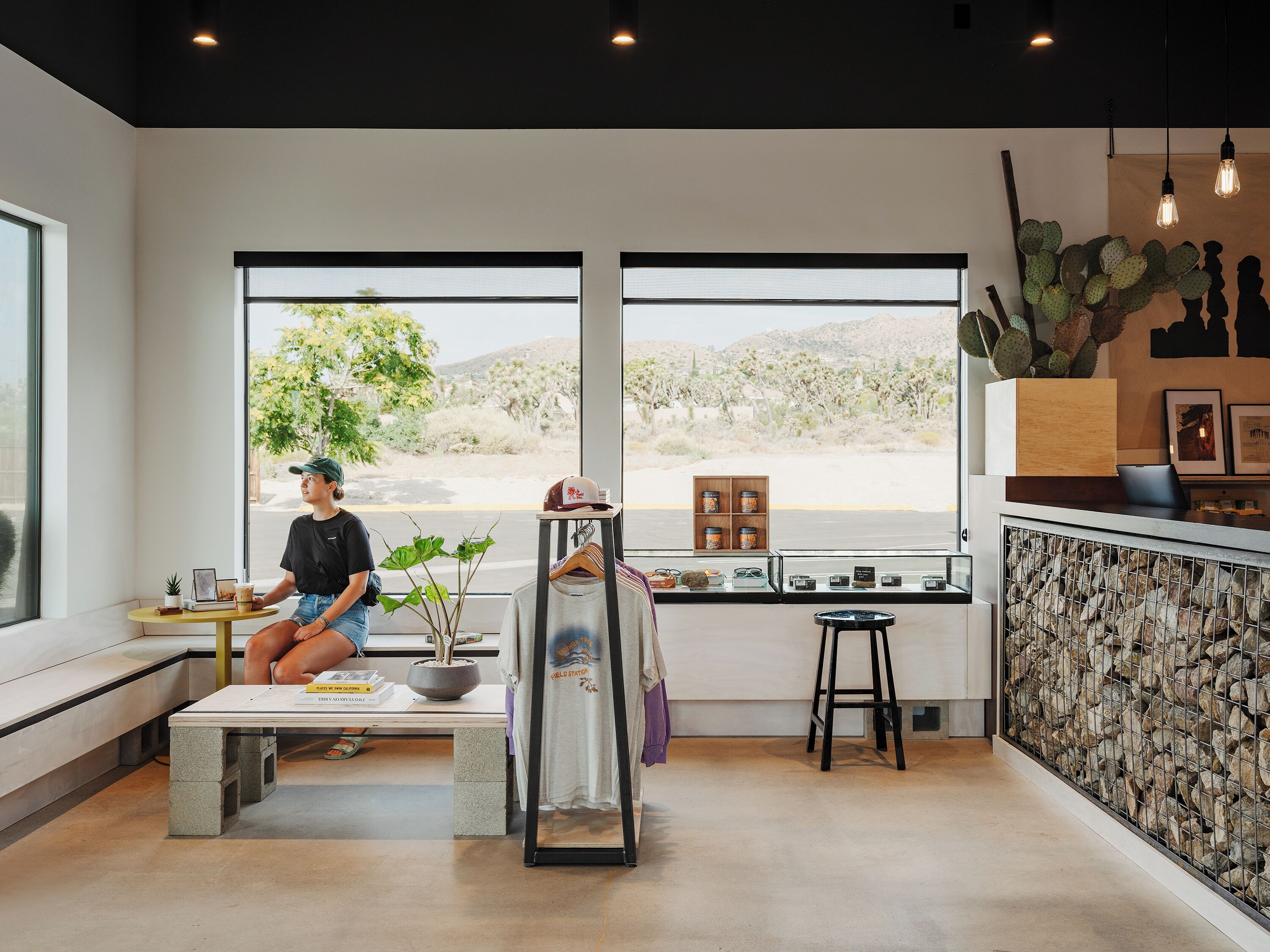 A modern interior with large windows, a cactus display, and a seating area with a table and chairs.