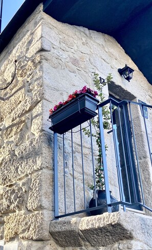 Detalle del exterior