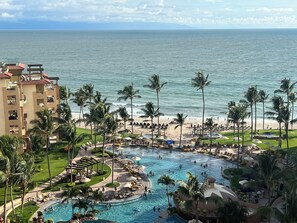 Un complexe hôtelier doté d’une grande piscine, de palmiers et offrant une vue sur la plage.