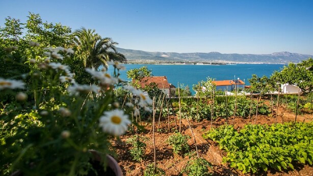 Unclassified image, 1 of 12, button - Apartments Marija - 60 m From Beach (Trogir)