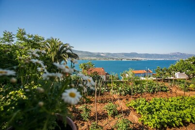 瑪麗亞公寓 - 距離海灘60米