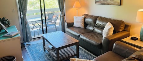 Smart TV, DVD player, books