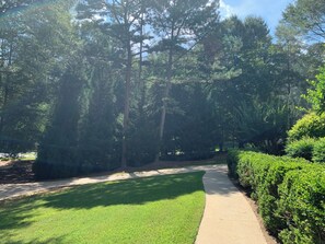 المنطقة المحيطة بالمنشأة