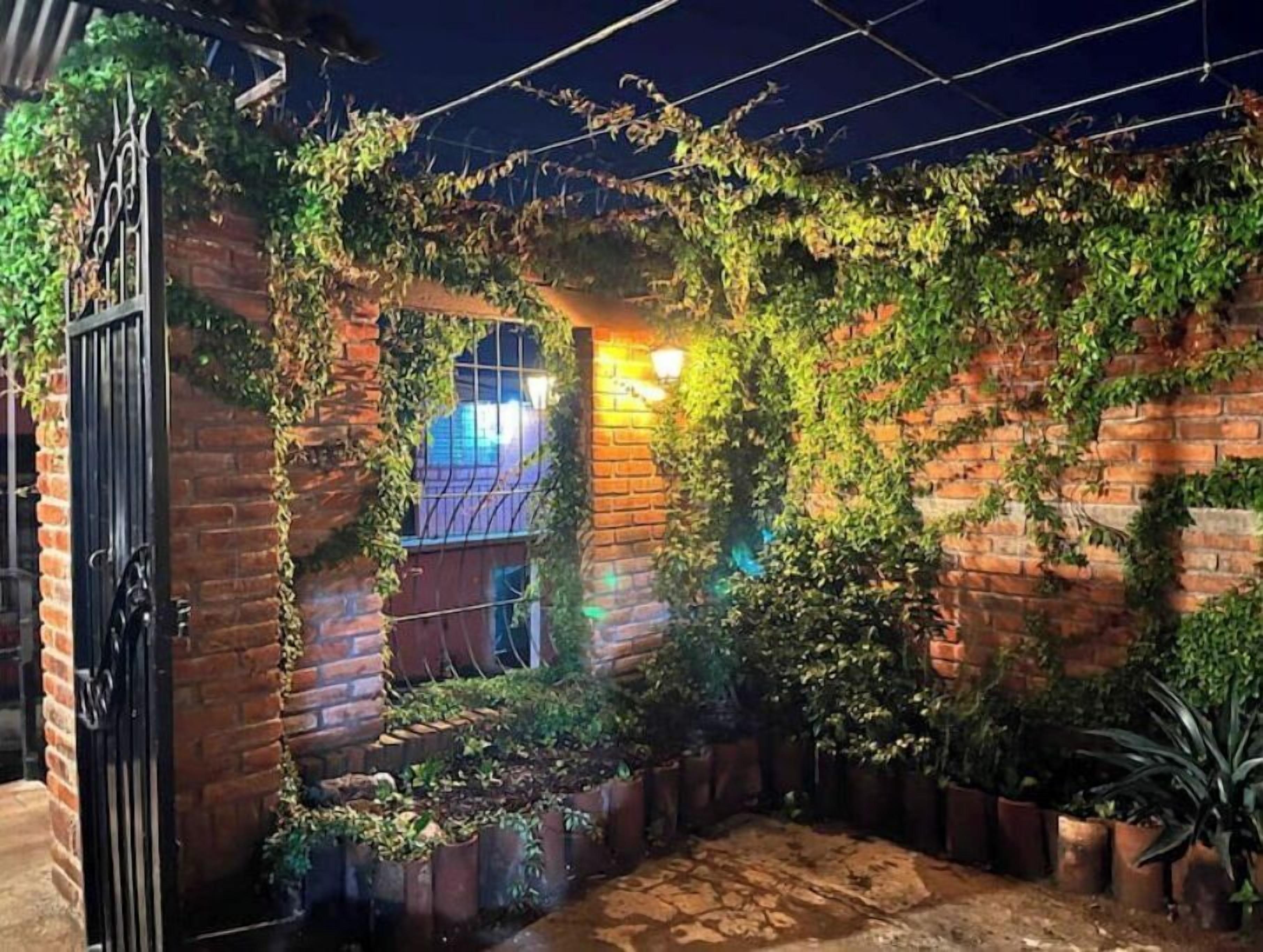 A brick wall with climbing plants and a metal gate.