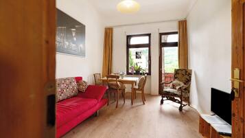 Televisión, reproductor de DVD y tenis de mesa