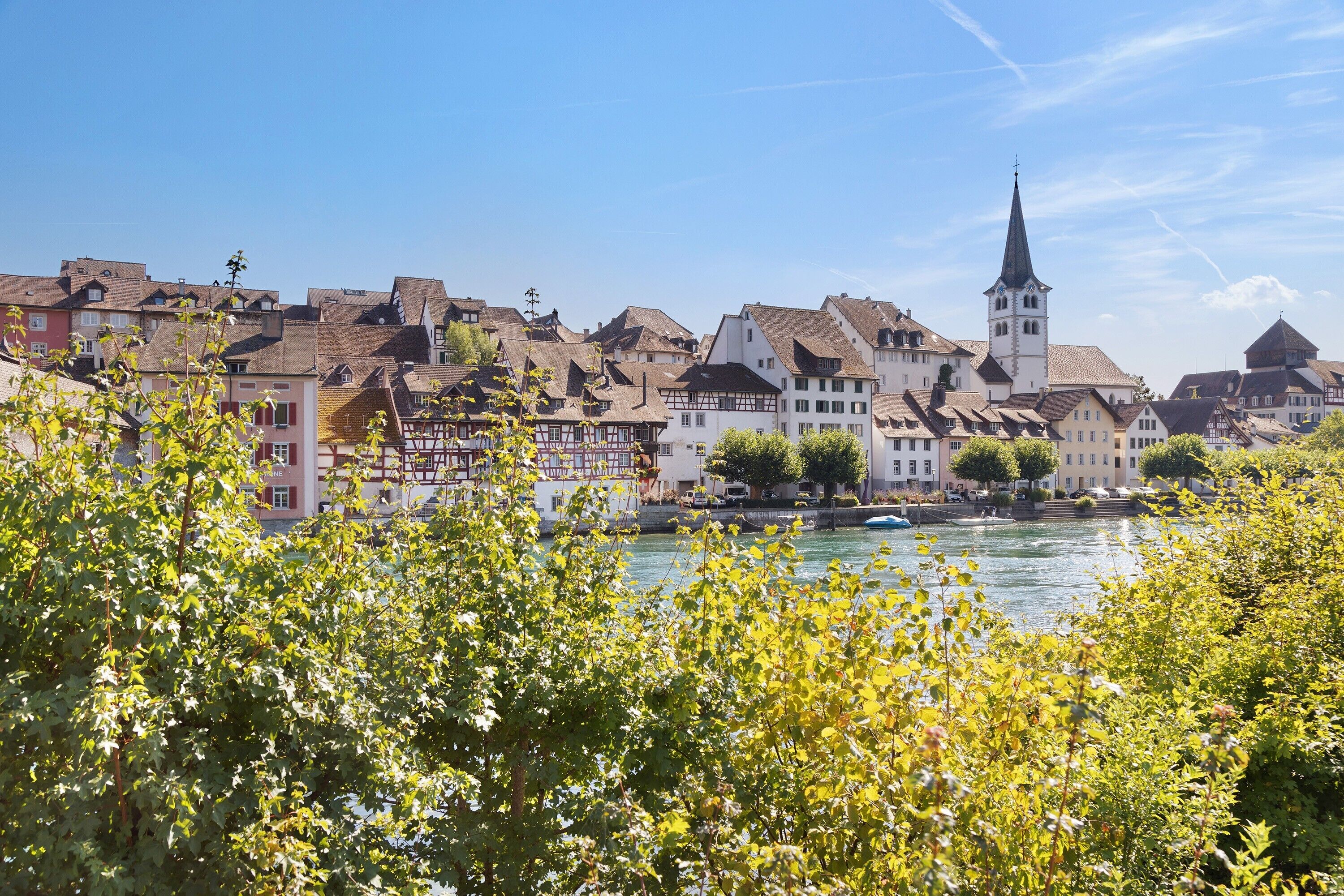 A riverside town with historic buildings, a prominent church tower, and lush greenery.