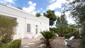 Un edificio moderno con un patio, mobiliario exterior y una pequeña palmera.