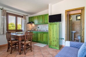 Een televisie en een open haard