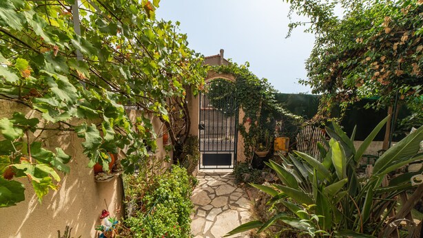 A stone pathway leading to a gated entrance surrounded by lush greenery and plants.