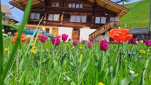 Exterior - Apartment Chalet Grittelihus, between Interlaken - Gstaad (Diemtigen)