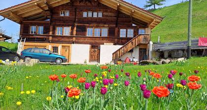Chalet Grittelihus prĂšs d'Interlaken, dans un paradis naturel