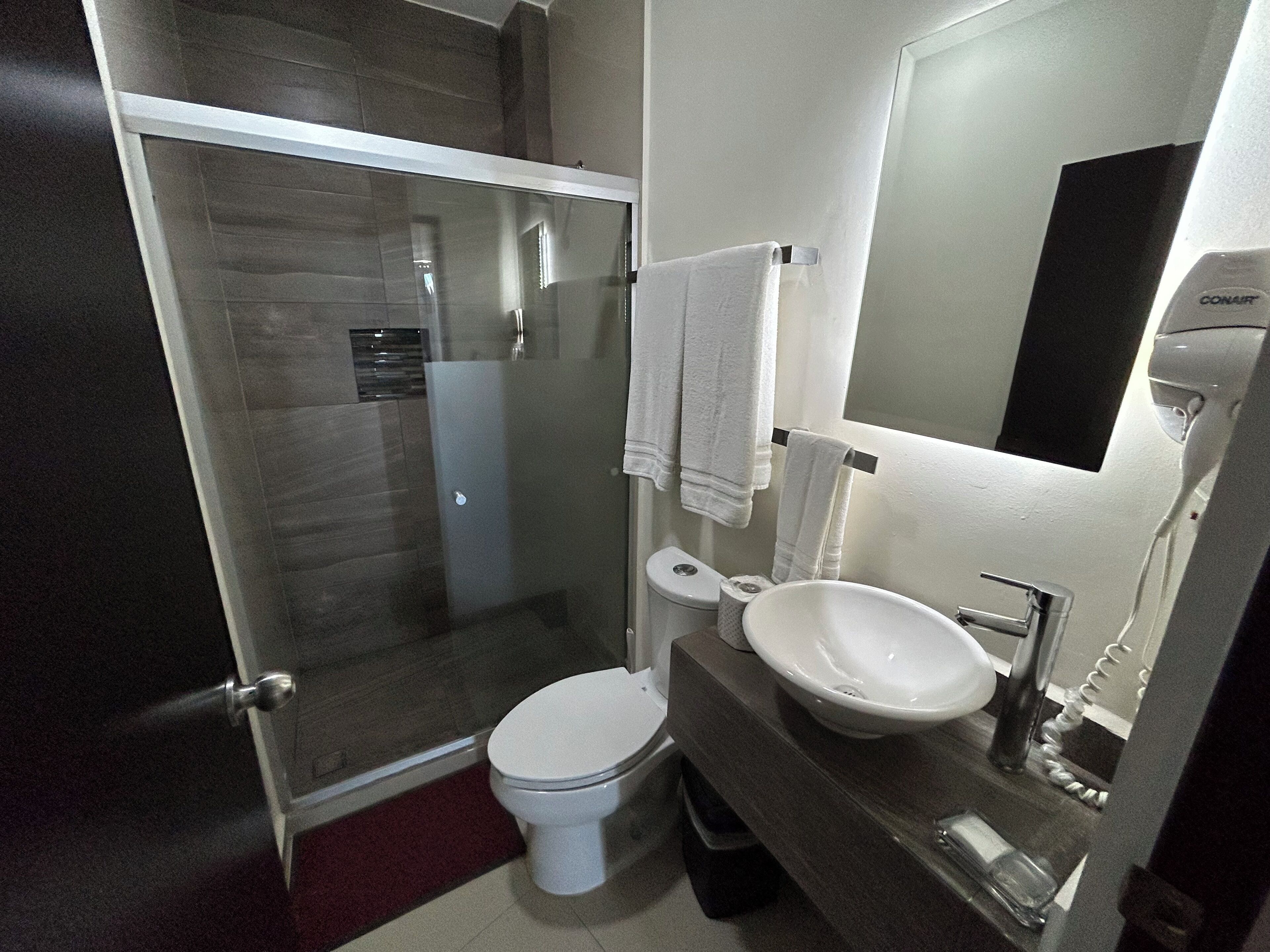 A modern bathroom with a glass shower enclosure, a toilet, a sink, and a mirror.