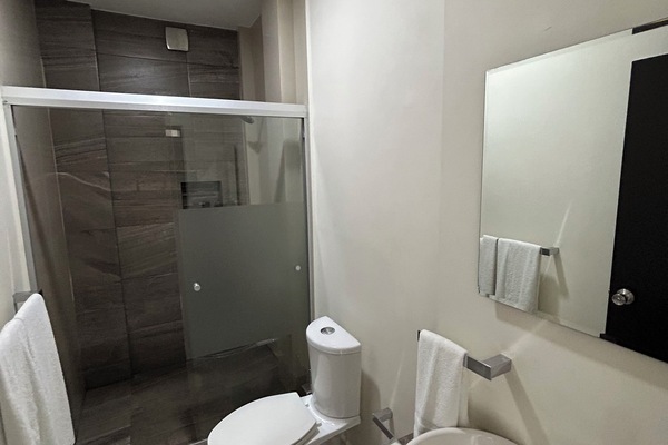 Honeymoon Suite | Bathroom | Hair dryer, towels