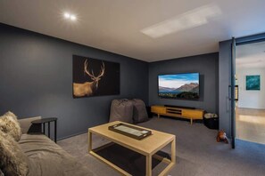 Télévision, cheminée, espaces bureaux