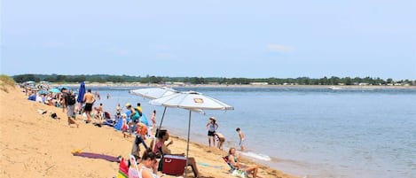 Plage à proximité
