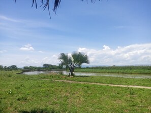 Comfort-Vierbettzimmer | Schreibtisch, laptopgeeigneter Arbeitsplatz, Bettwäsche