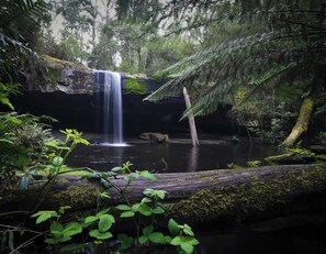 A waterfall in a forested area with a log and moss-covered ground.