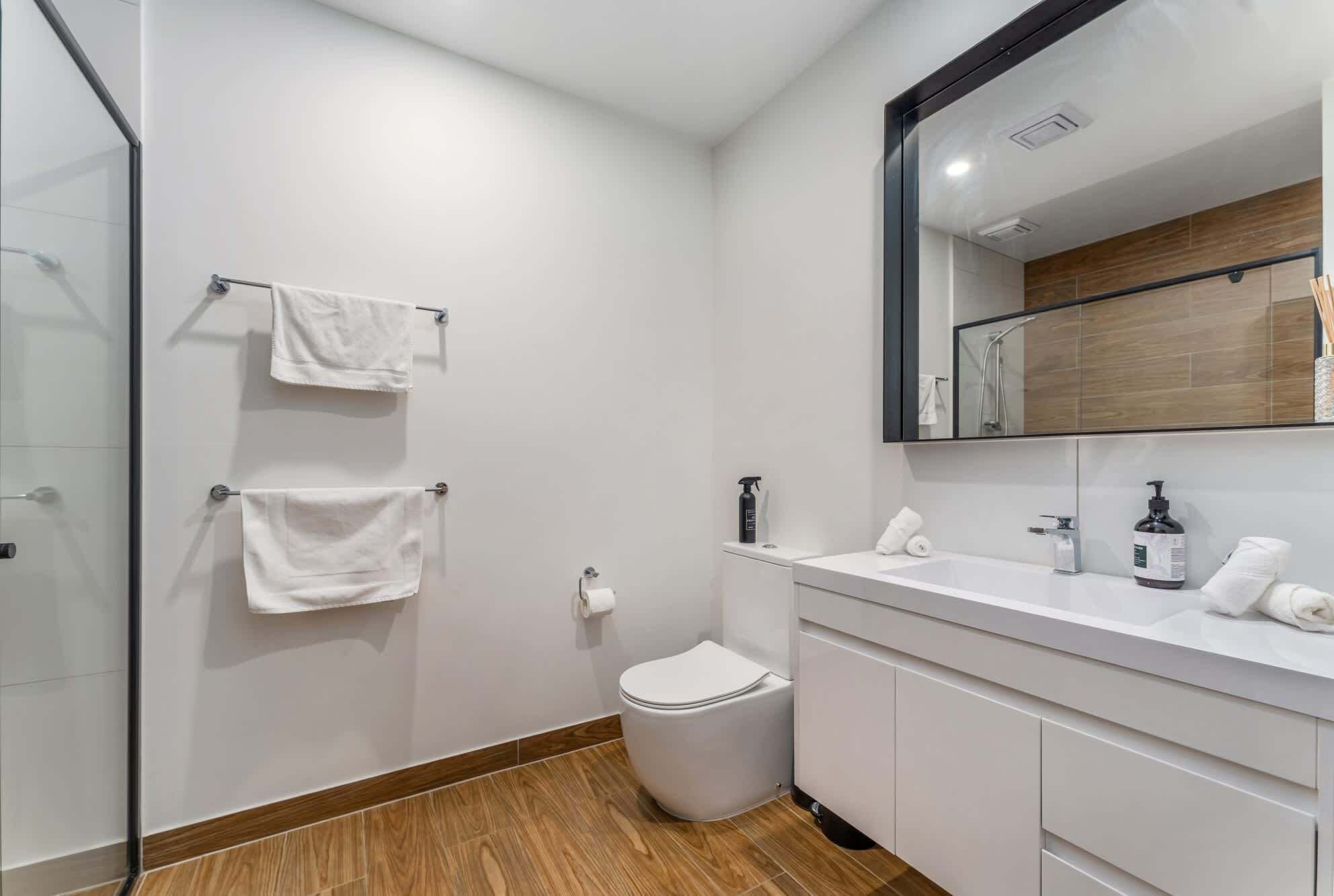 Shower, hair dryer, shampoo