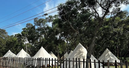 Touching camping